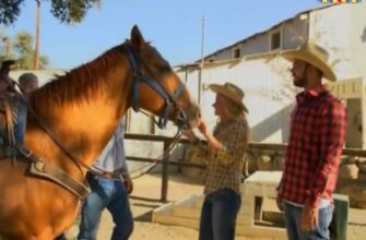 Холостяк на ТНТ 2 сезон 2 серия