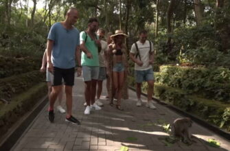 План Б на ТНТ 5 серия 10.11.2019